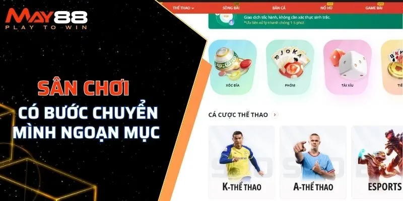 Sân chơi đã có những bước chuyển mình ngoạn mục và phát triển.